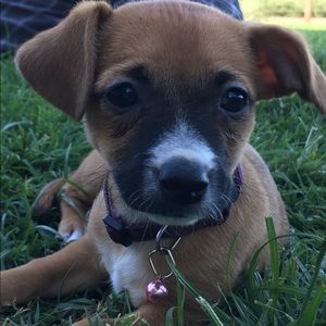 Meet your Posher, Margo